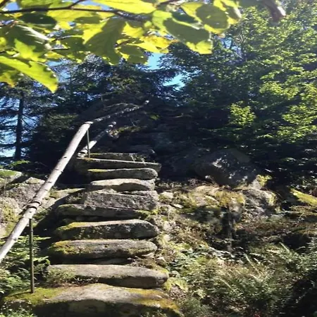 Seeblick - Tiny Direkt Am