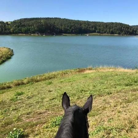 Seeblick - Tiny Direkt Am Casa vacanze Neunburg vorm Wald