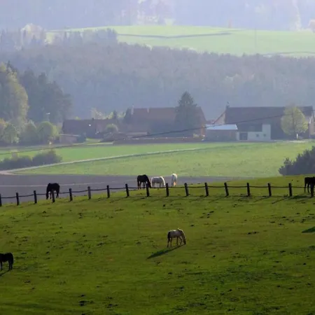 Casa vacanze Seeblick - Tiny Direkt Am Neunburg vorm Wald